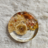 Round resin paper weight with preserved yellow flowers