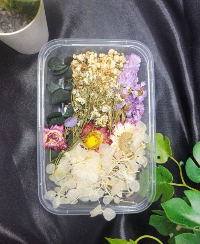Mix Dry Flower Box with natural dried flowers for resin art and DIY crafts