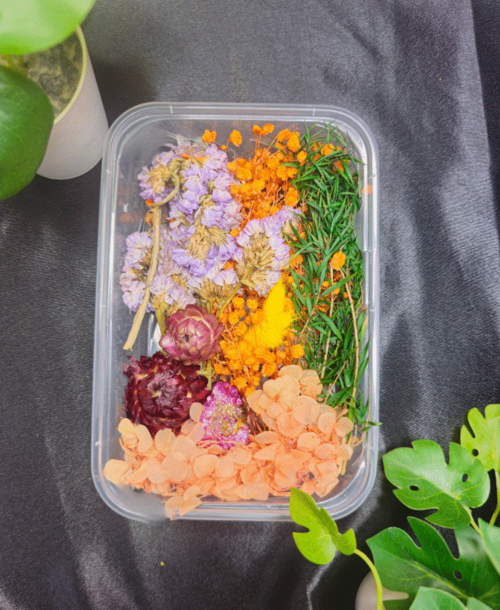 Mix Dry Flower Box with natural dried flowers for resin art and DIY crafts