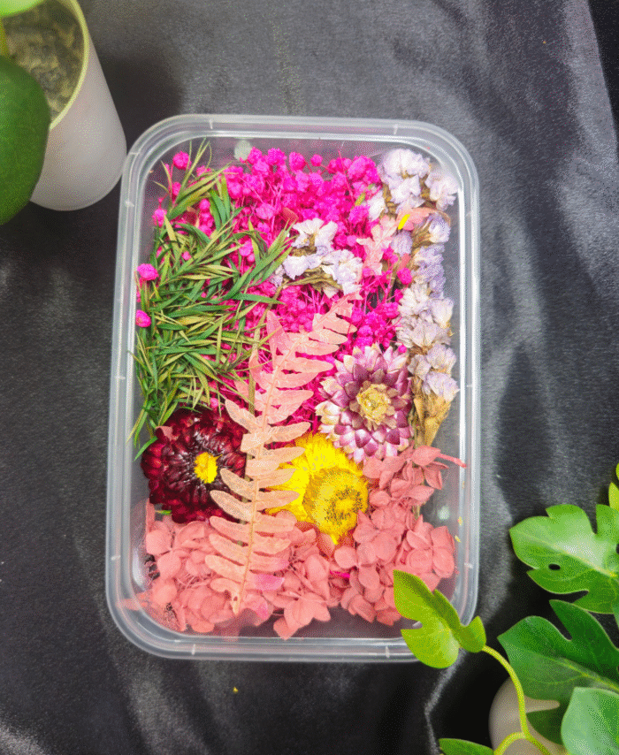 Mix Dry Flower Box with natural dried flowers for resin art and DIY crafts