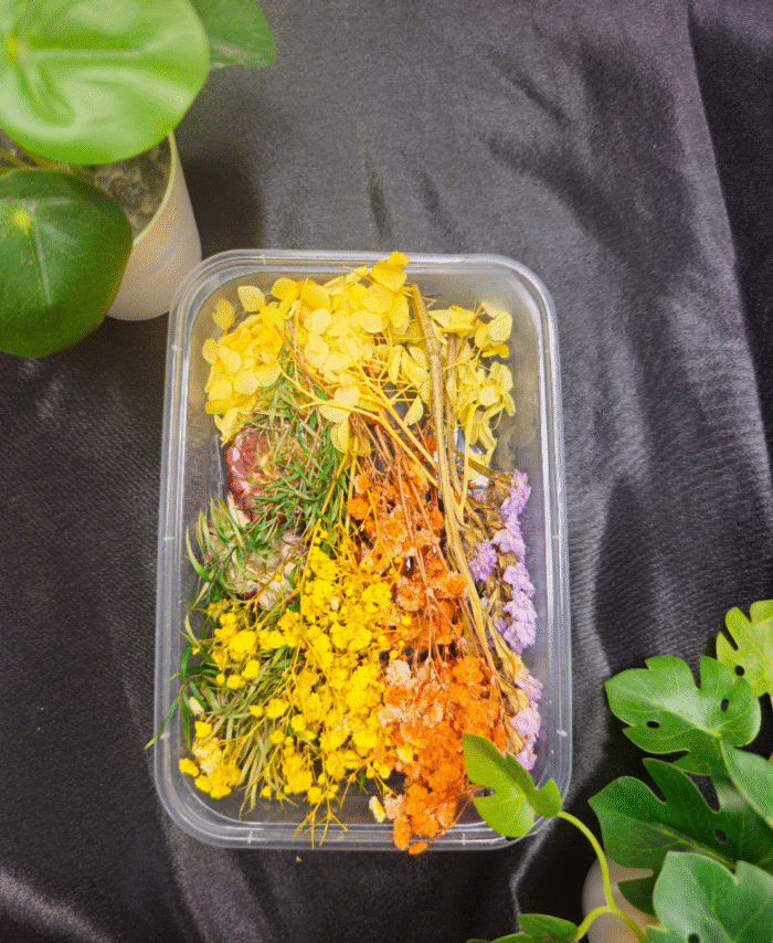 Mix Dry Flower Box with natural dried flowers for resin art and DIY crafts