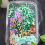 Mix Dry Flower Box with natural dried flowers for resin art and DIY crafts