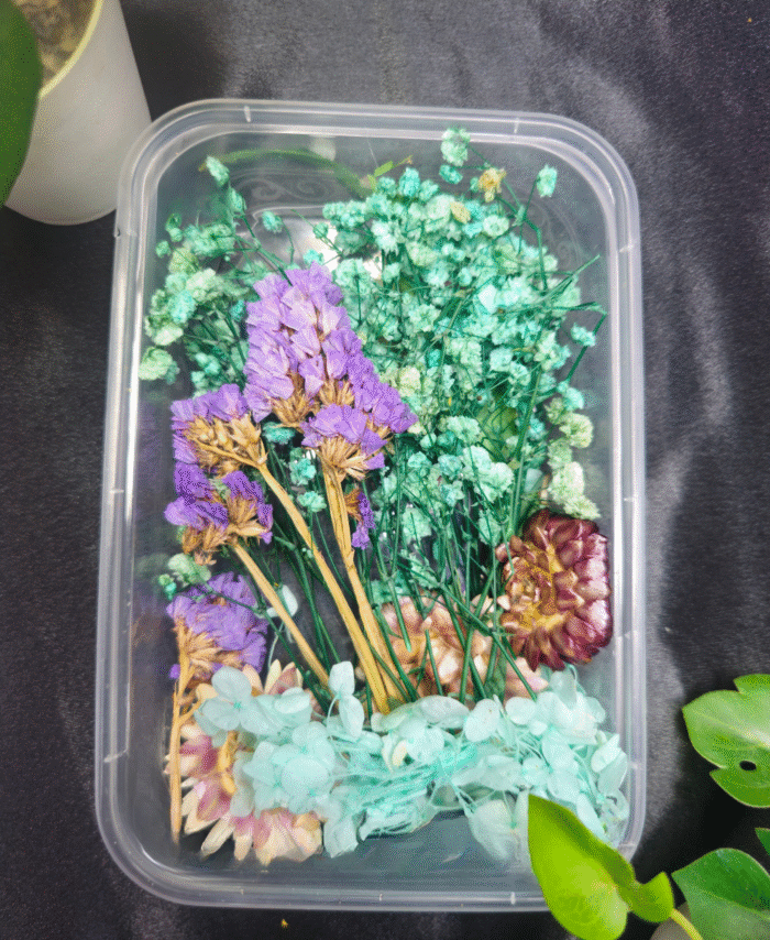 Mix Dry Flower Box with natural dried flowers for resin art and DIY crafts
