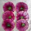 Handmade purple flower resin coasters with shimmering centers by Resineera