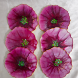 Handmade purple flower resin coasters with shimmering centers by Resineera