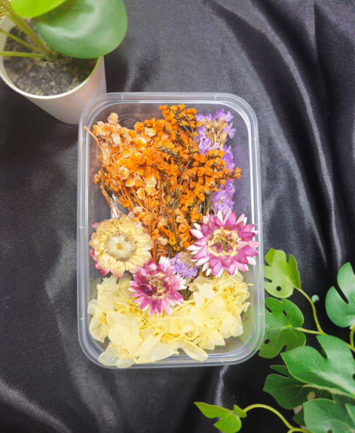 Mix Dry Flower Box with natural dried flowers for resin art and DIY crafts