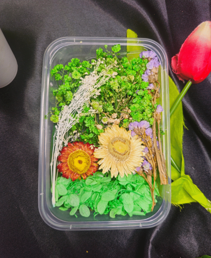 Mix Dry Flower Box with natural dried flowers for resin art and DIY crafts