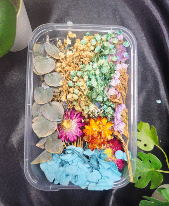 Mix Dry Flower Box with natural dried flowers for resin art and DIY crafts
