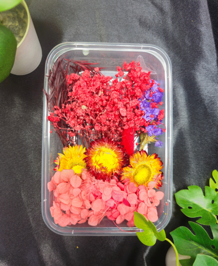Mix Dry Flower Box with natural dried flowers for resin art and DIY crafts