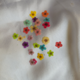 Multi Plum Blossom Pressed Flowers for crafting and DIY projects, preserved for vibrant natural beauty.