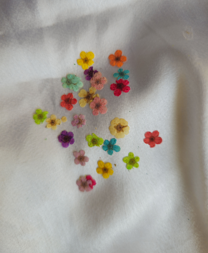 Multi Plum Blossom Pressed Flowers for crafting and DIY projects, preserved for vibrant natural beauty.