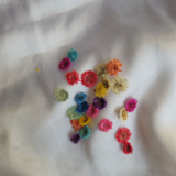 Multi Plum Blossom Pressed Flowers for crafting and DIY projects, preserved for vibrant natural beauty.