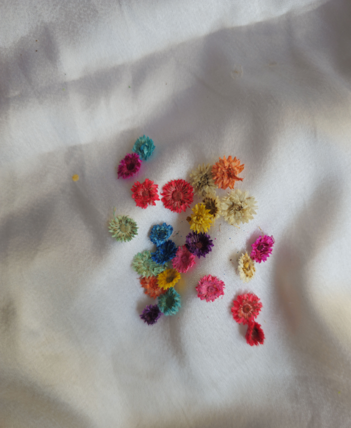 Multi Plum Blossom Pressed Flowers for crafting and DIY projects, preserved for vibrant natural beauty.