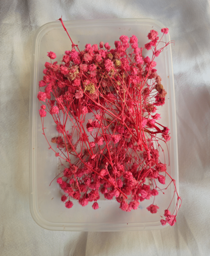 Pink Gypsy / Baby Breathe Flower Box