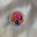 Multi Plum Blossom Pressed Flowers for crafting and DIY projects, preserved for vibrant natural beauty.