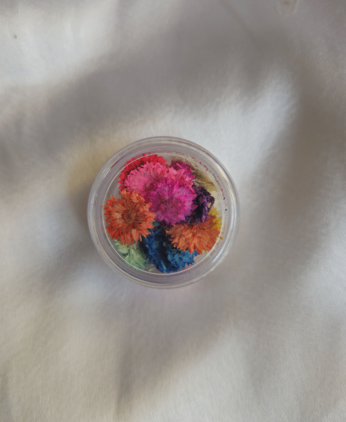 Multi Plum Blossom Pressed Flowers for crafting and DIY projects, preserved for vibrant natural beauty.