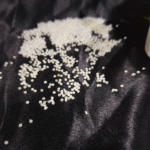 Ivory round pearl beads scattered on black fabric for jewellery making and craft use"