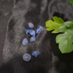 Blue plastic earring stoppers are placed on black fabric with green leaves.