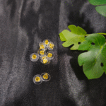 Clear flat earring backs with gold centres placed on a black fabric background with green leaves beside them.”
