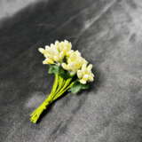 Natural flower pollen used for craft and decorative work