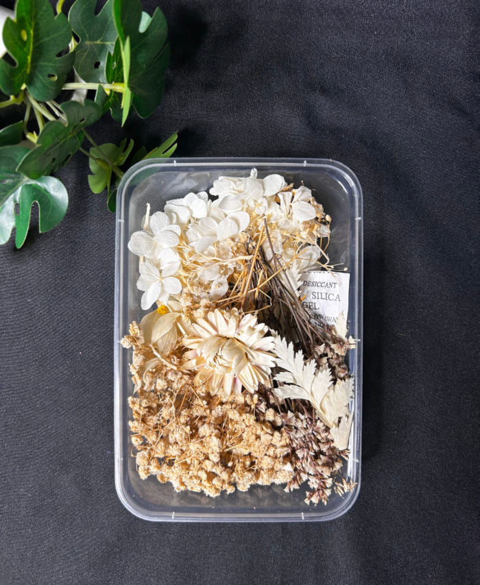 Mix Dry Flower Box with natural dried flowers for resin art and DIY crafts