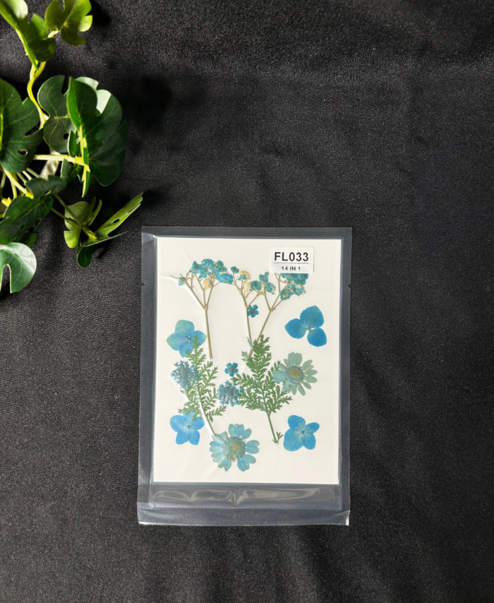 Blue pressed flowers, dried flowers for resin, natural flower pack, botanical craft materials, DIY floral kit, resin flower supplies, dried daisy flowers, handmade craft accessories, floral decoration set