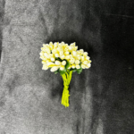 Natural flower pollen used for craft and decorative work