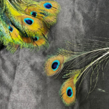 Natural organic Morepankha peacock feather for pooja and vastu