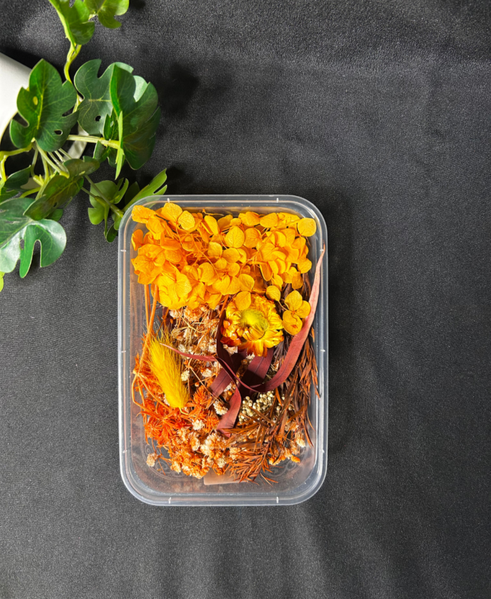 Mix Dry Flower Box with natural dried flowers for resin art and DIY crafts