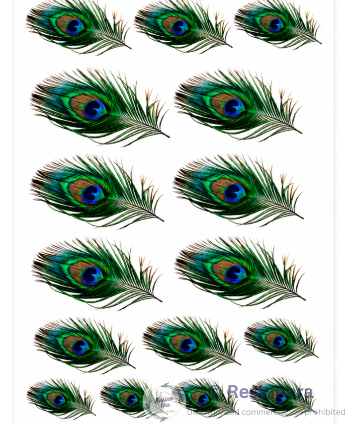 A4 Mor Pankha DTF sticker sheet with colorful peacock feather designs for resin art and craft decoration.