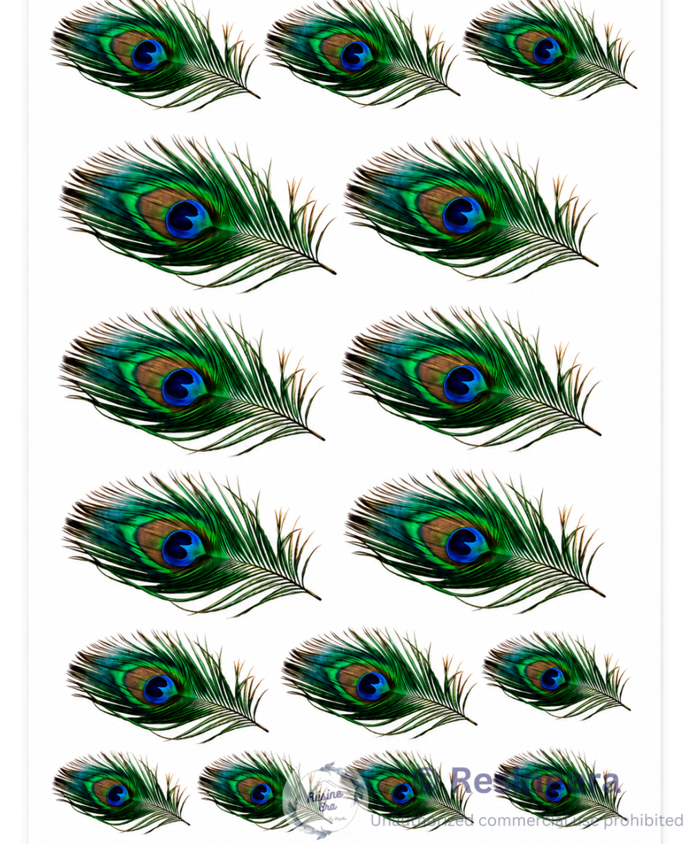 More Pankha A4 Mor Pankha DTF sticker sheet with colorful peacock feather designs for resin art and craft decoration.